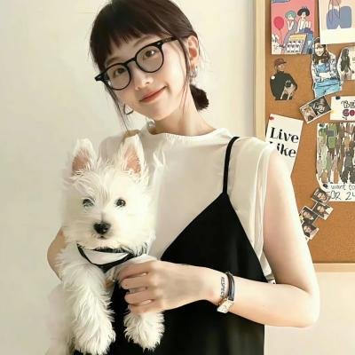 监察局长